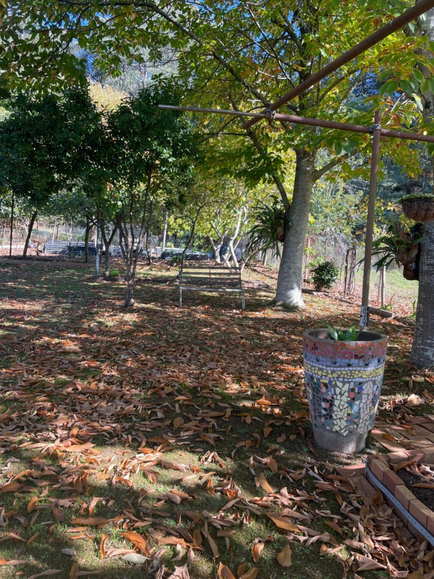 Noojee Getaway Villa Dış mekan fotoğraf